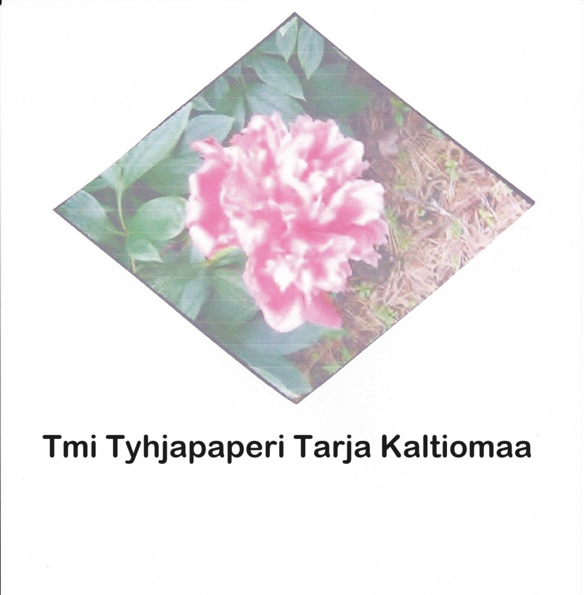 Kvalifysiikka – antropologia – elämänlaatu